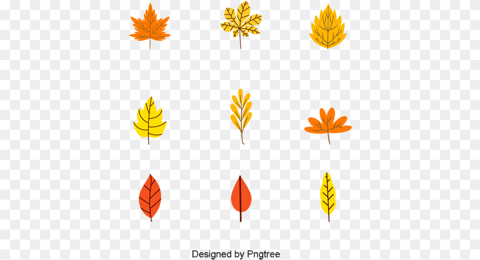Illustration, Leaf, Plant, Tree, Maple Leaf Png