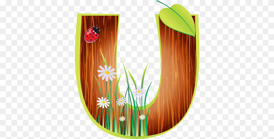 Illustration, Flower, Plant Png