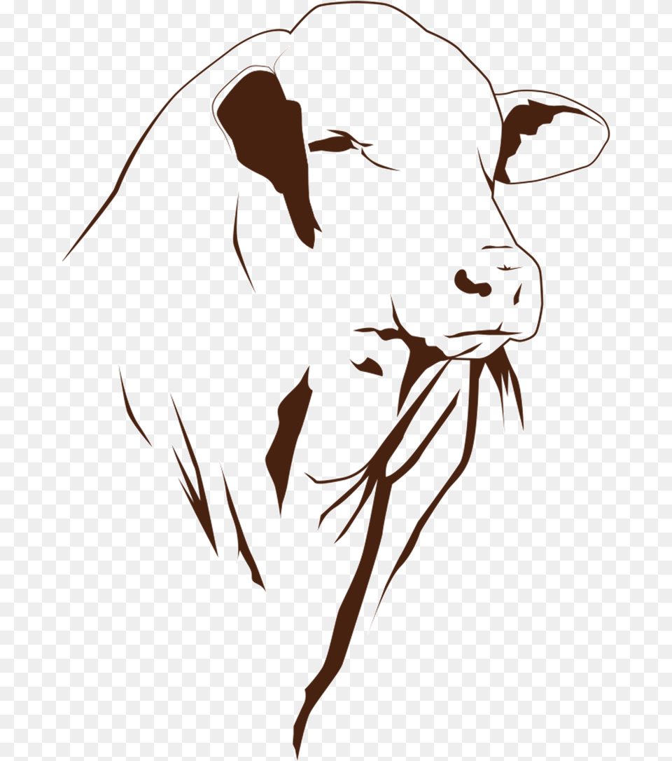 Illustration, Animal, Mammal, Cattle, Livestock Png Image