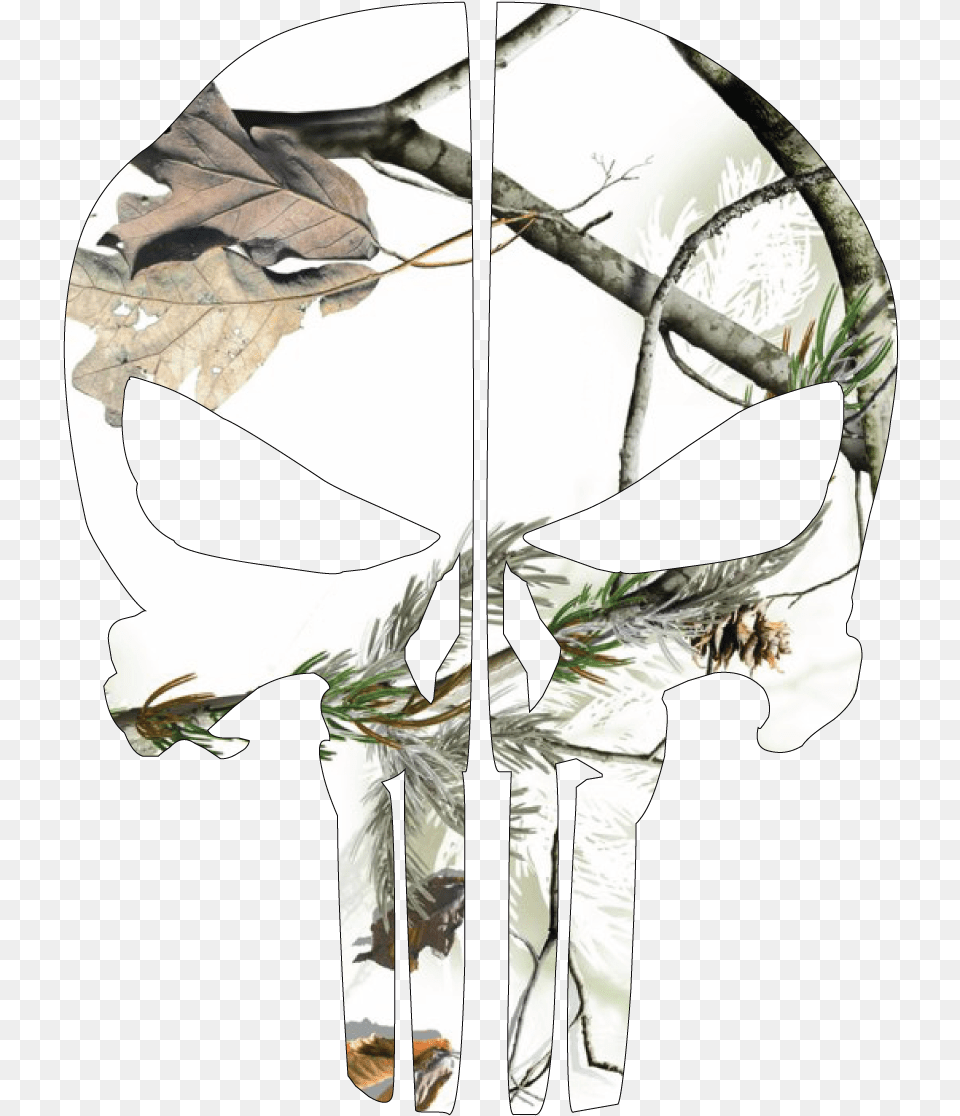 Illustration Png Image