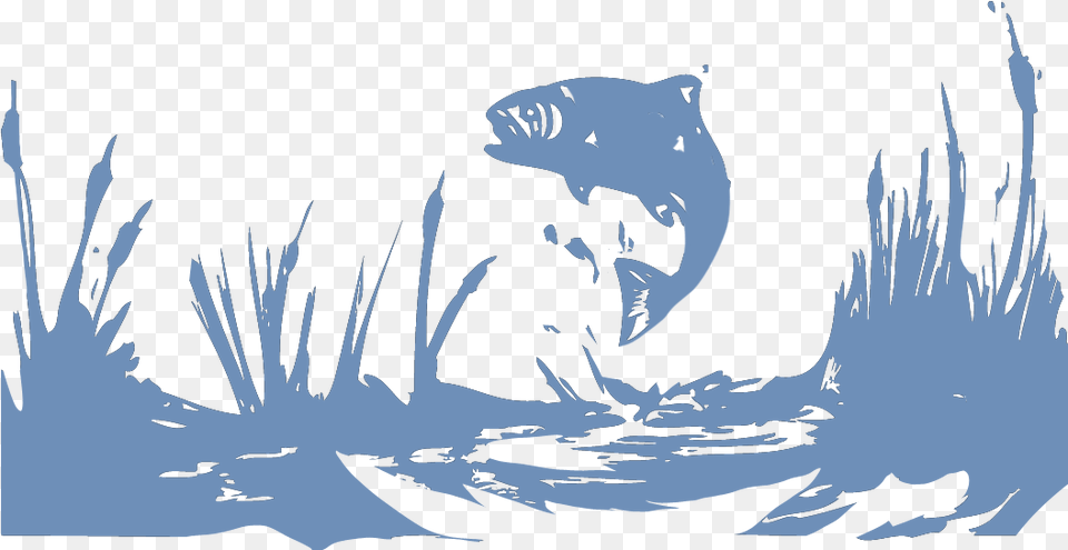 Illustration, Animal, Bear, Mammal, Wildlife Png Image