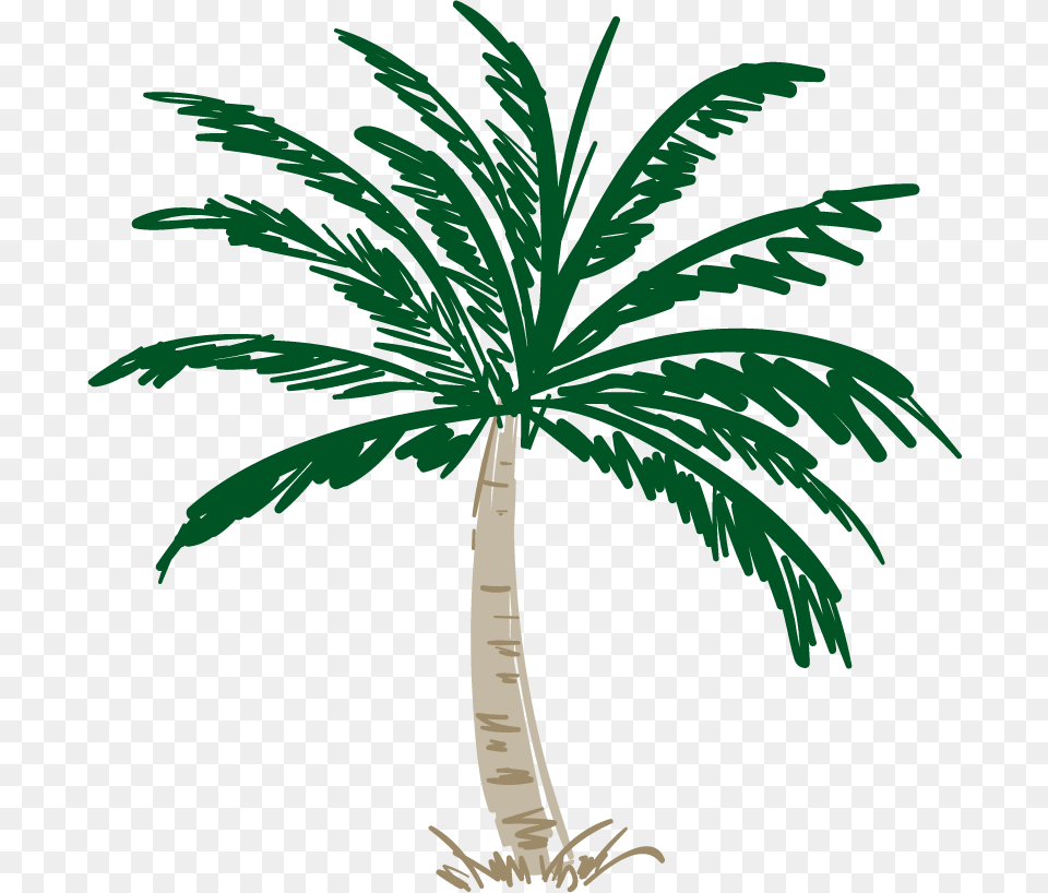 Illustration, Palm Tree, Plant, Tree Free Png Download