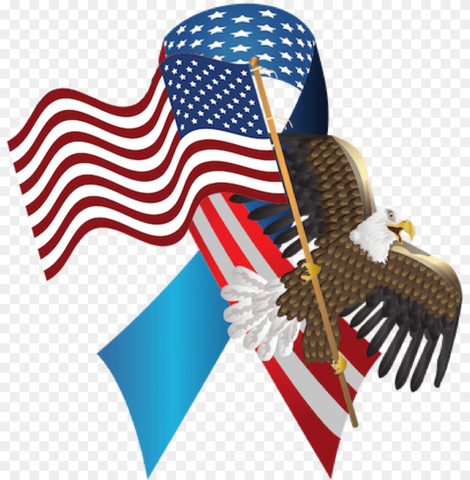 Illustration, American Flag, Flag, Animal, Bird Png Image