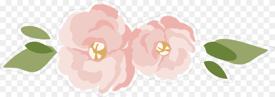 Illustration, Flower, Petal, Plant, Rose Free Png
