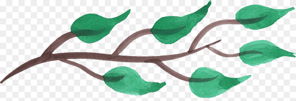 Illustration, Plant, Leaf, Vine, Annonaceae Free Png