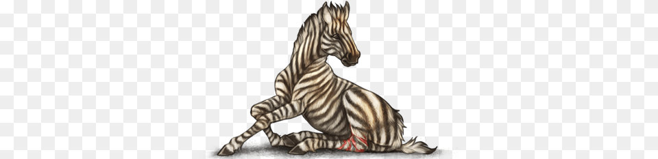 Illustration, Animal, Mammal, Wildlife, Zebra Free Png Download