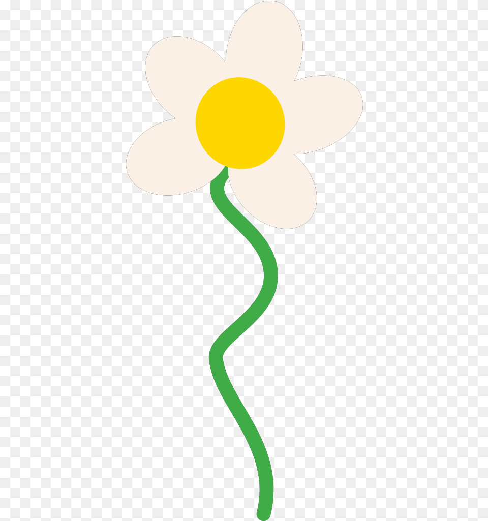 Illustration, Anemone, Daffodil, Daisy, Flower Png