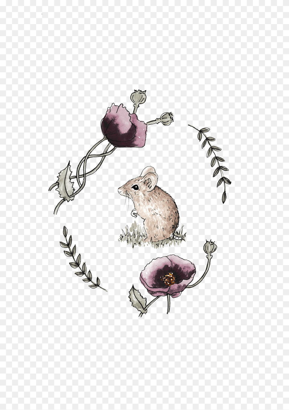 Illustration Free Png Download