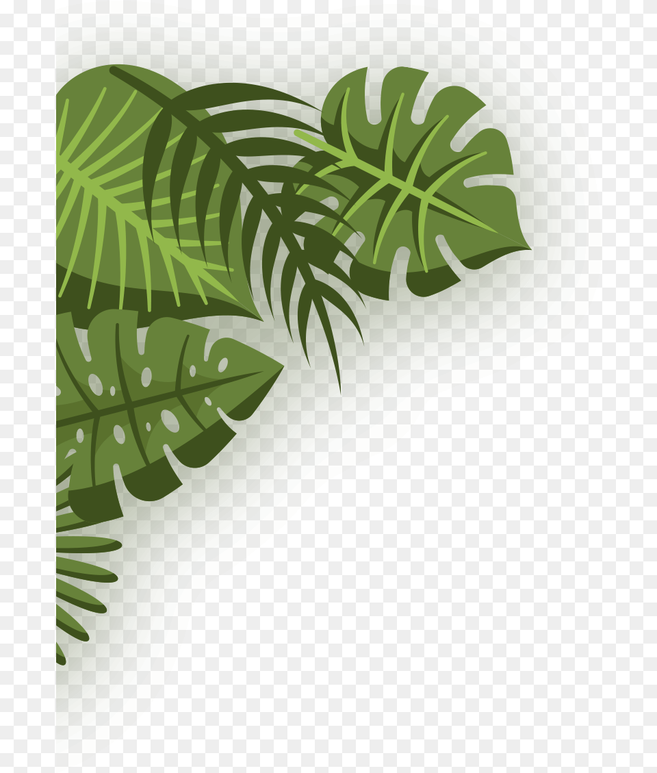 Illustration, Outdoors, Green, Land, Nature Free Png
