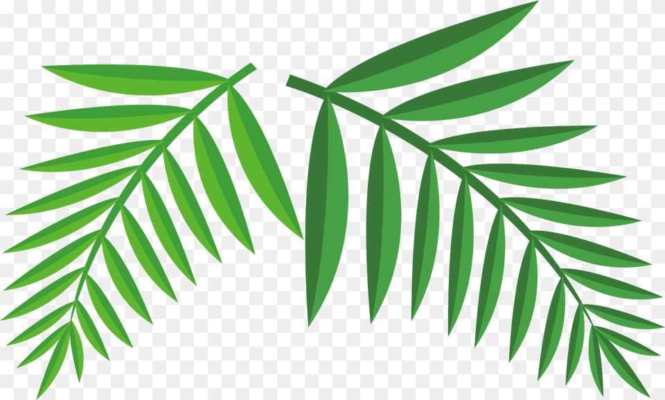 Illustration, Green, Leaf, Plant, Tree Png Image