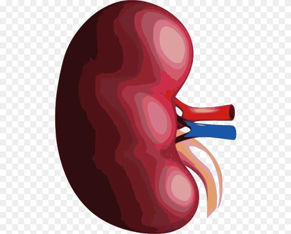 Illustration Png