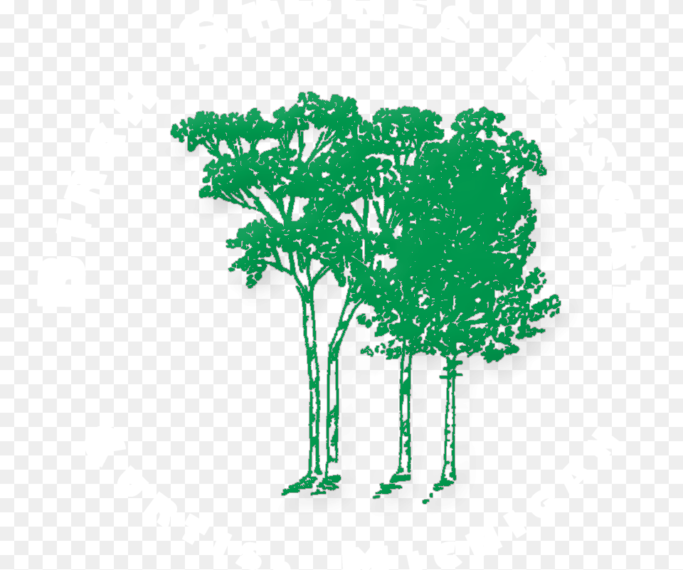 Illustration, Green, Herbs, Plant, Mammal Png