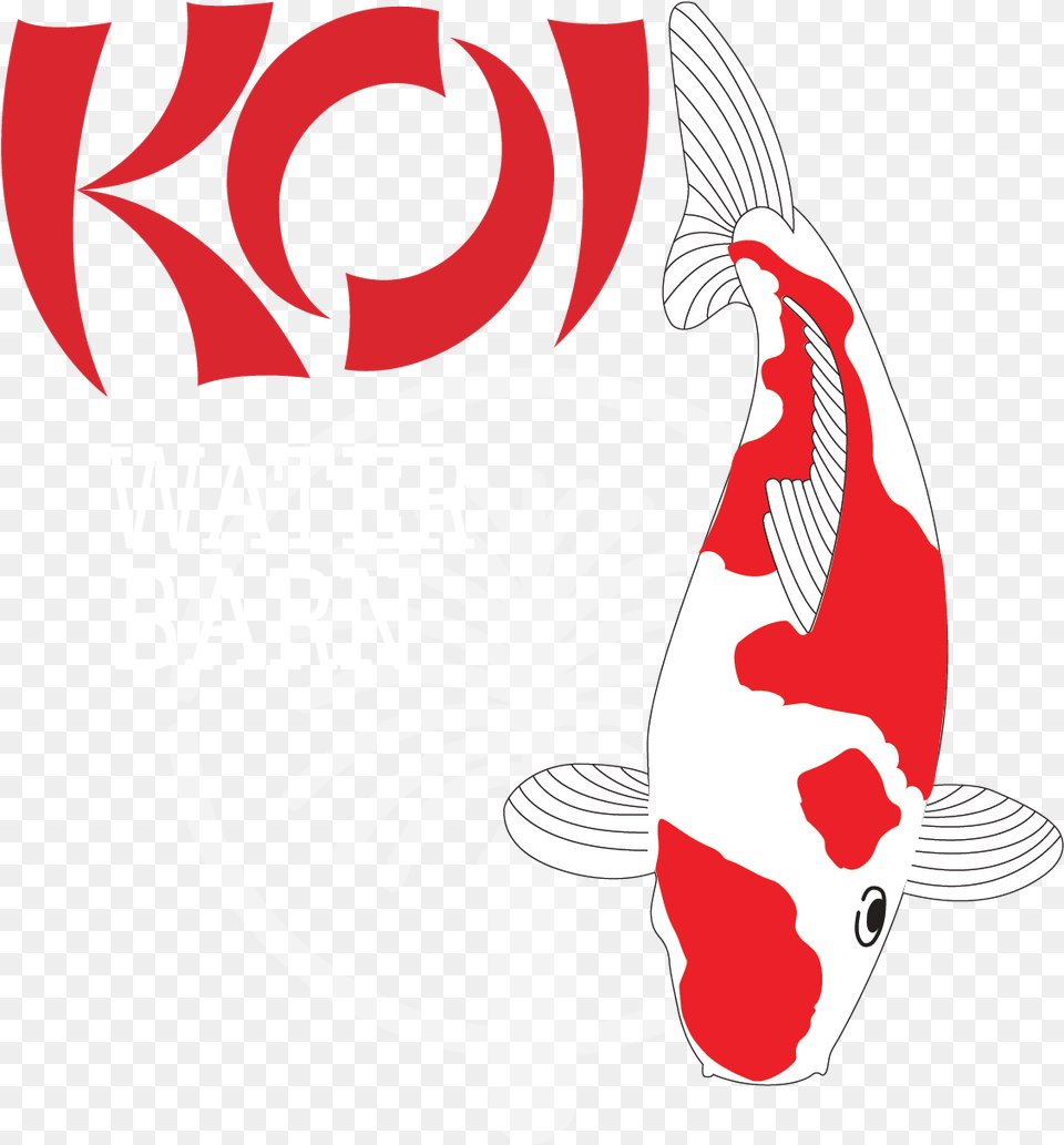 Illustration, Animal, Carp, Fish, Koi Png