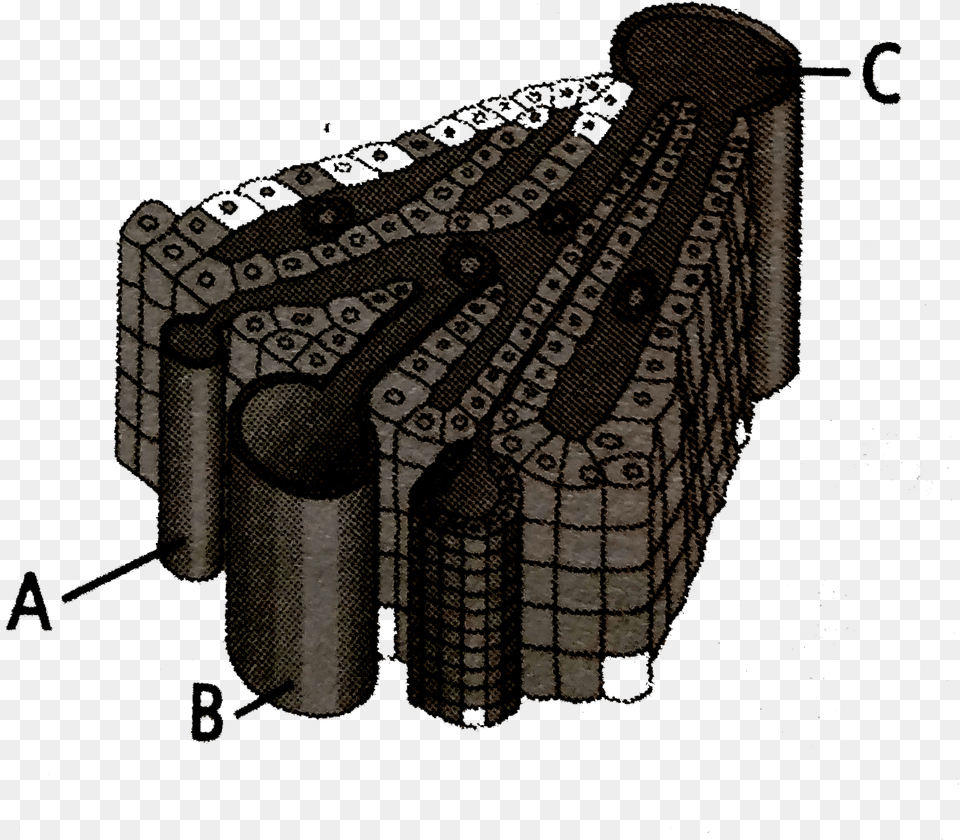 Illustration Free Png