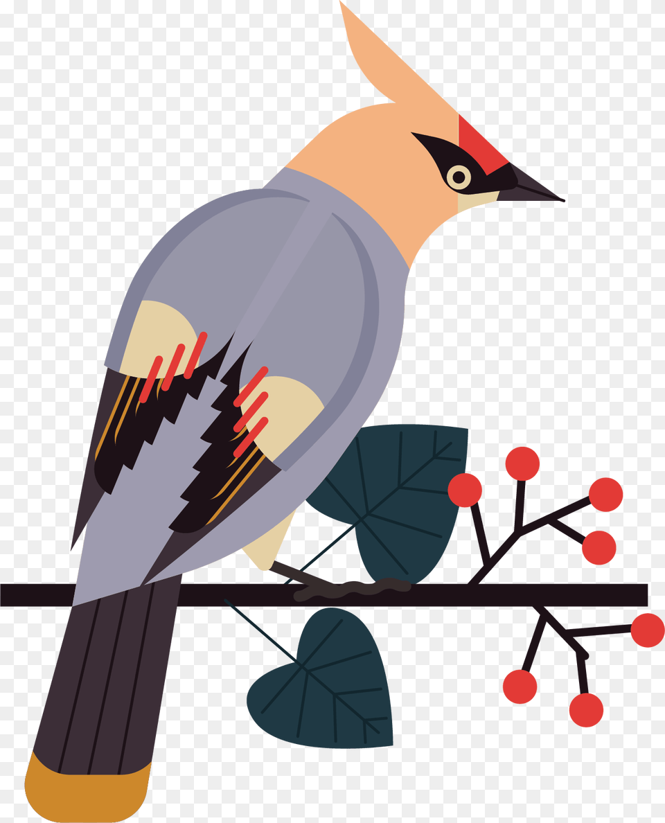 Illustration, Animal, Bird, Jay, Beak Free Transparent Png