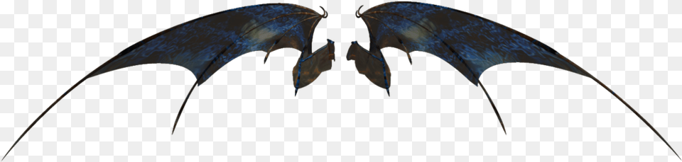 Illustration Free Png