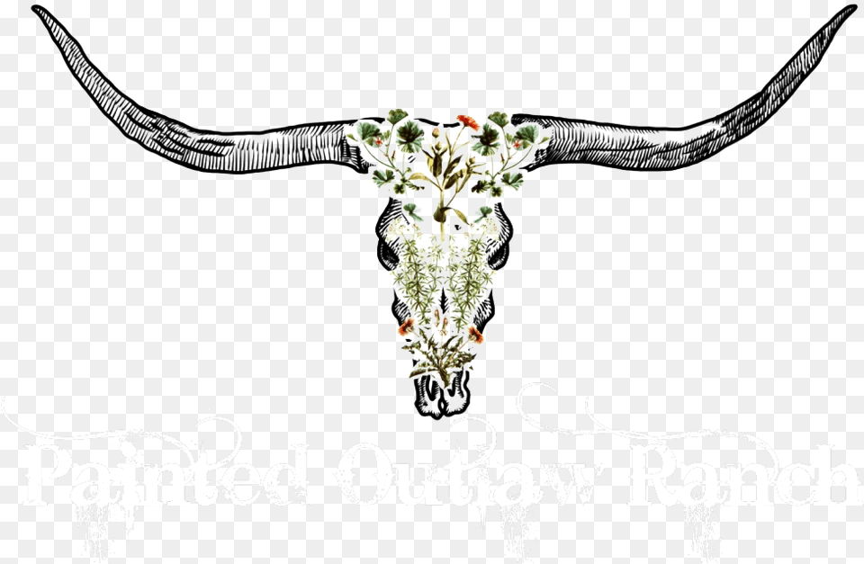 Illustration, Animal, Cattle, Livestock, Longhorn Free Transparent Png