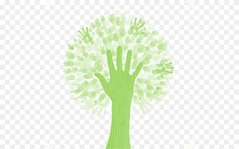 Illustration, Plant, Tree, Art, Flower Png Image