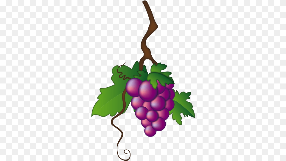 Illustration, Food, Fruit, Grapes, Plant Png Image