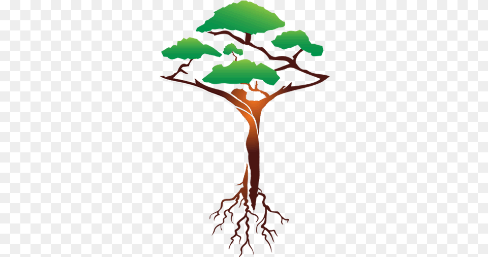 Illustration, Plant, Tree, Root, Adult Free Png Download