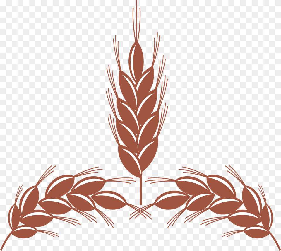 Illustration, Food, Grain, Produce, Wheat Png