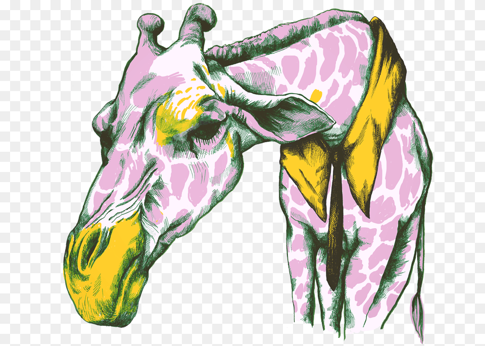 Illustration, Animal, Bird, Mammal, Giraffe Free Transparent Png