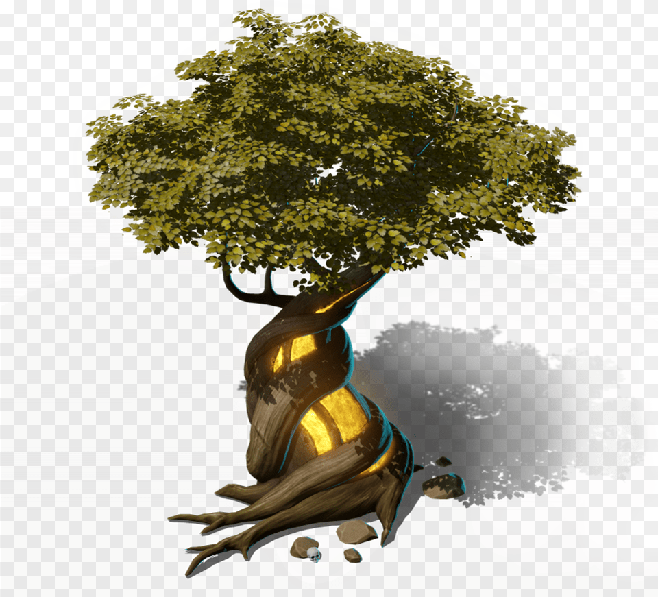 Illustration, Plant, Tree Free Transparent Png