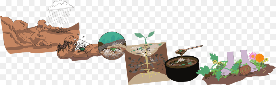 Illustration, Plant, Potted Plant, Art Free Transparent Png