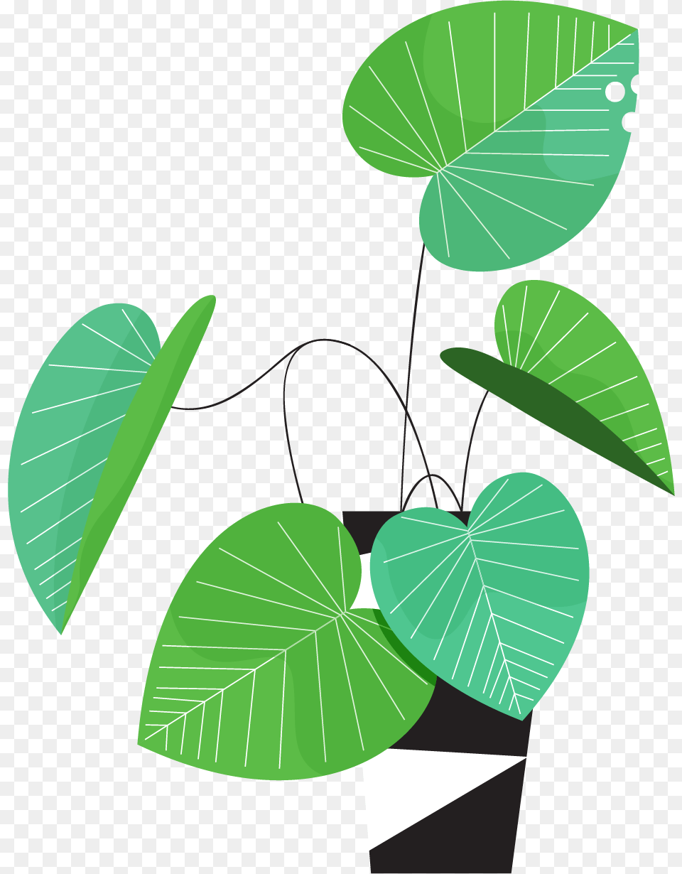 Illustration, Green, Herbal, Herbs, Leaf Free Png