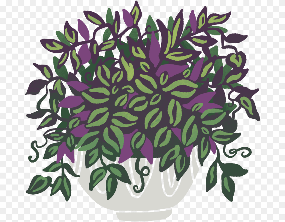 Illustration, Plant, Potted Plant, Planter, Purple Free Transparent Png