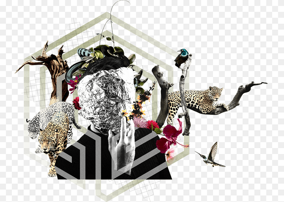Illustration, Art, Collage, Animal, Cheetah Free Transparent Png