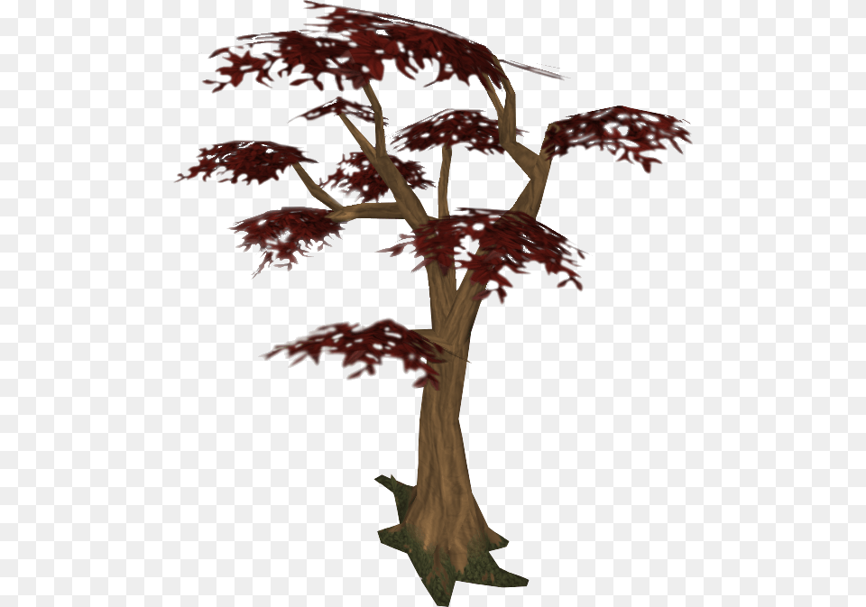 Illustration, Leaf, Maple, Plant, Tree Png Image