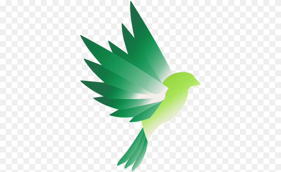 Illustration, Green, Animal, Parrot, Parakeet Free Png