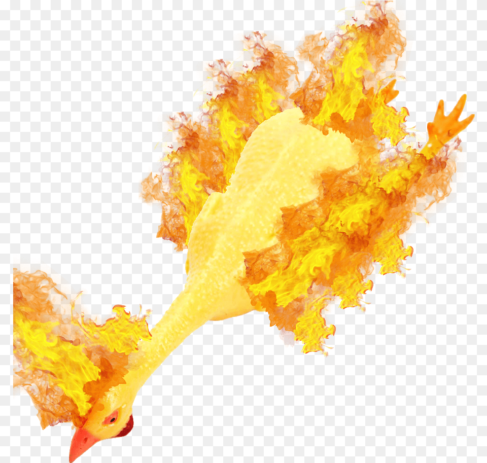 Illustration, Person, Fire, Flame, Animal Png