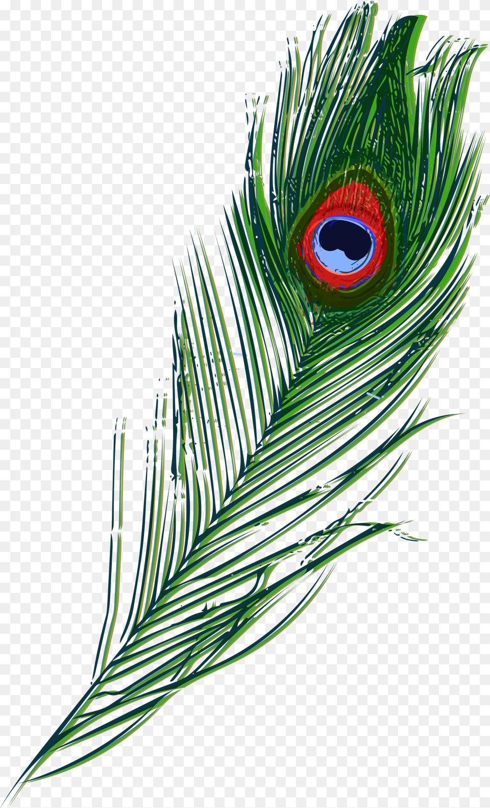 Illustration, Plant, Animal, Bird, Peacock Png Image
