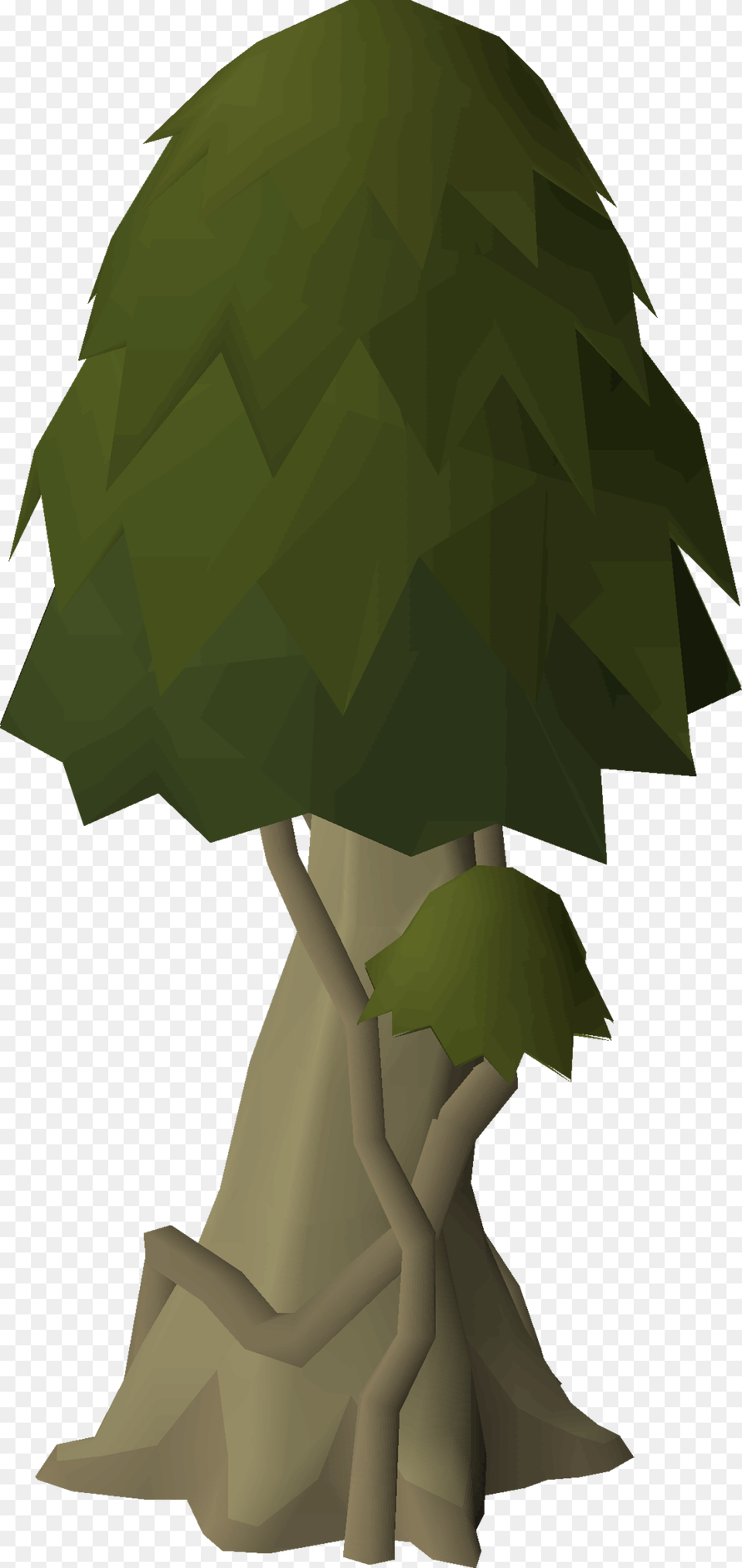 Illustration, Green, Leaf, Plant, Tree Png