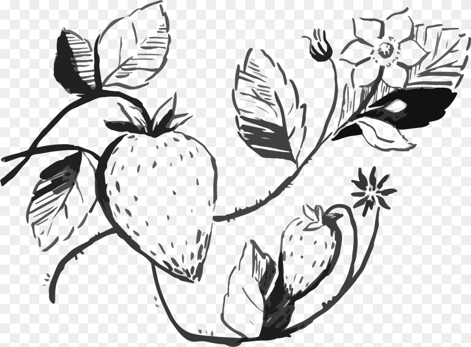 Illustration, Berry, Food, Fruit, Plant Free Png