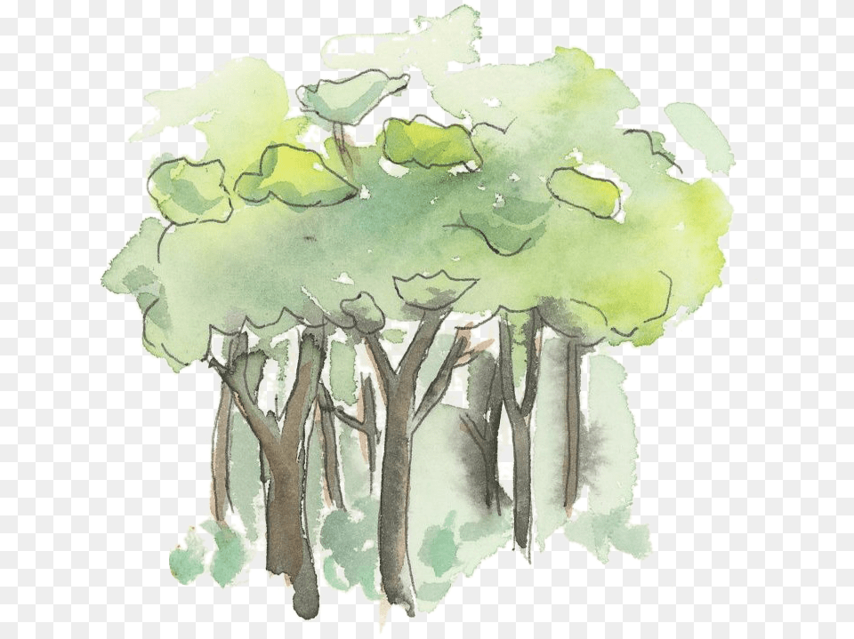 Illustration, Art, Painting, Plant, Tree Free Png