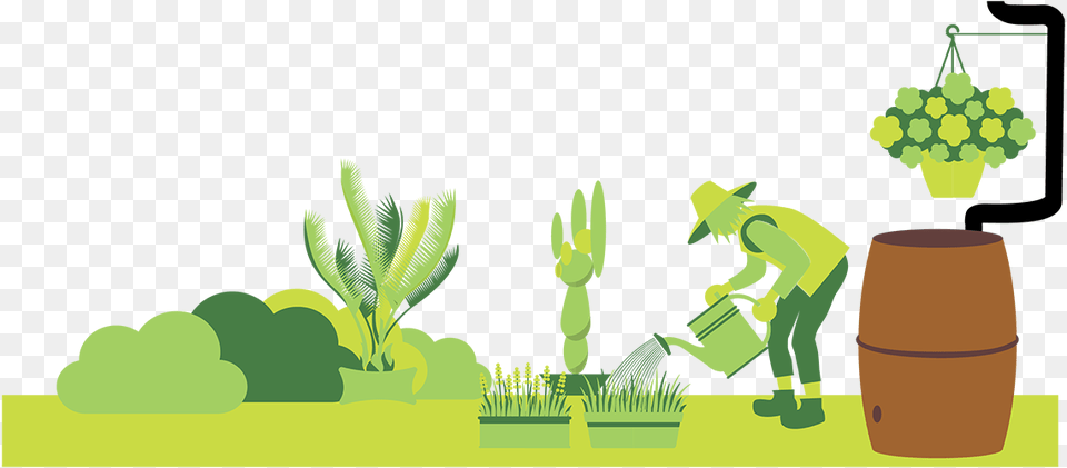 Illustration, Art, Graphics, Green, Plant Free Png