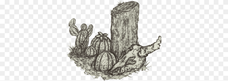 Illustration, Plant, Tree, Food, Fruit Png