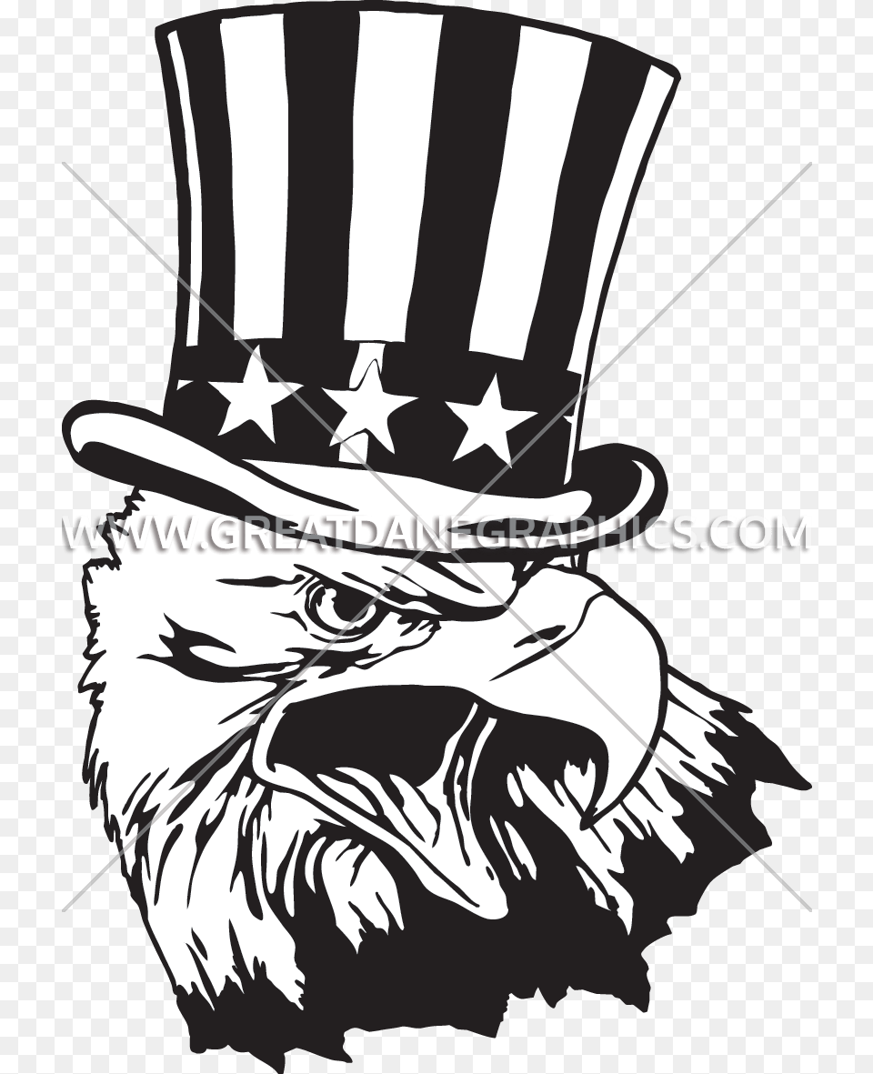 Illustration, Animal, Beak, Bird, Eagle Png