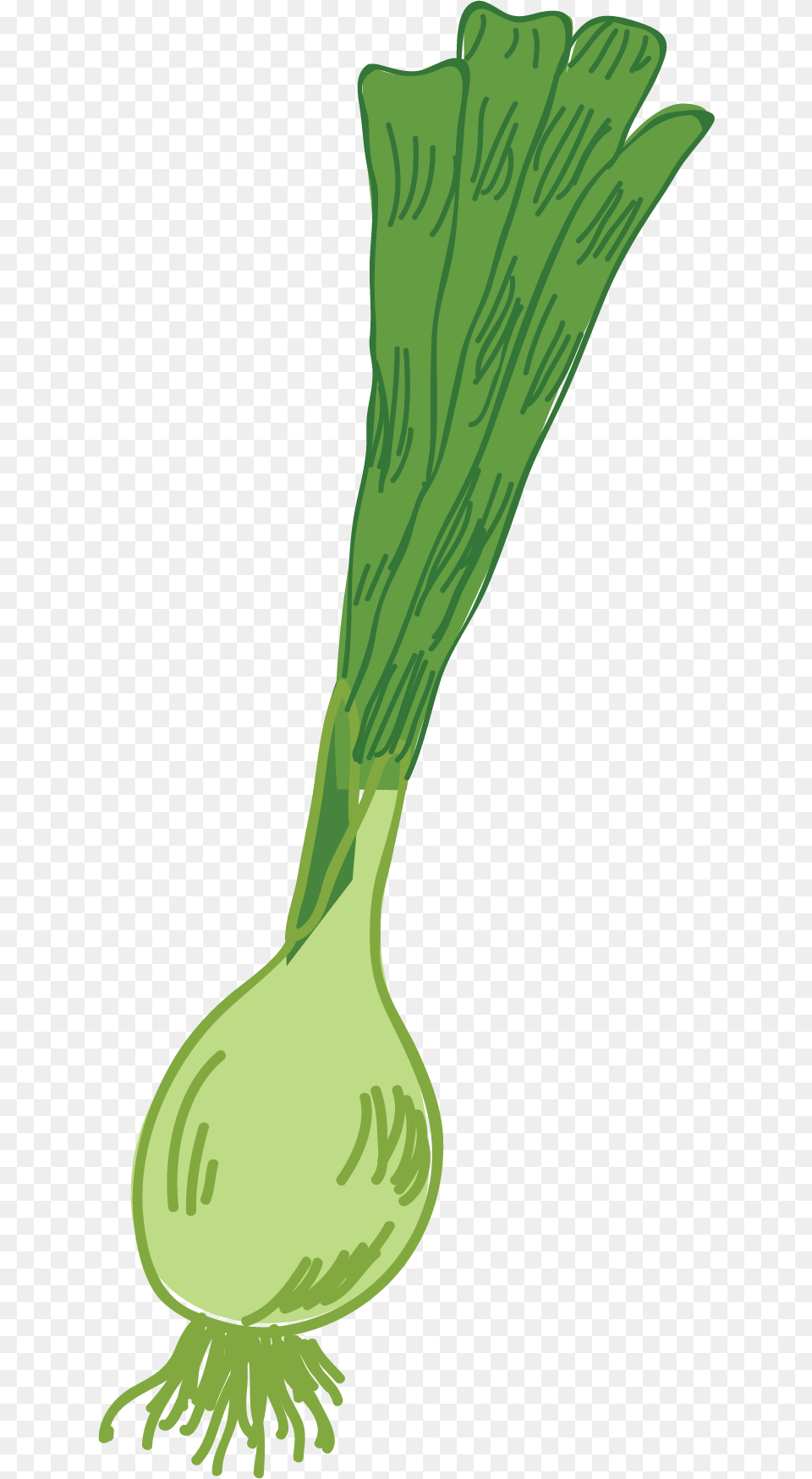 Illustration, Food, Produce, Leek, Plant Free Png Download