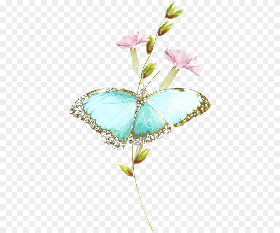 Illustration, Flower, Plant, Accessories, Jewelry Png Image