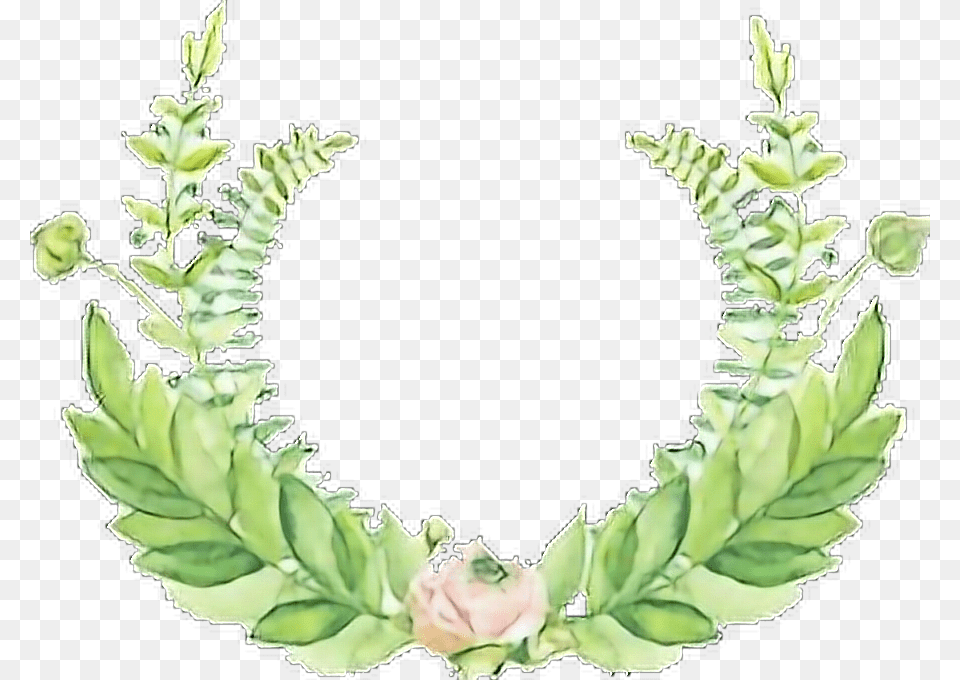 Illustration, Flower, Flower Arrangement, Leaf, Plant Free Png Download