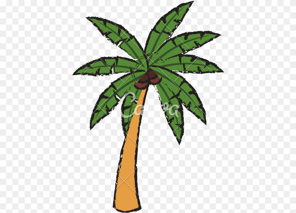 Illustration, Palm Tree, Plant, Tree, Person Free Transparent Png