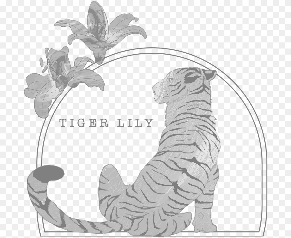 Illustration, Art Png Image