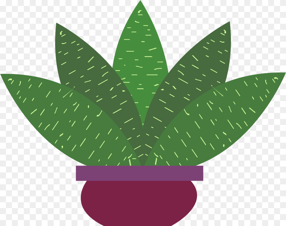 Illustration, Leaf, Plant, Aloe Free Png Download