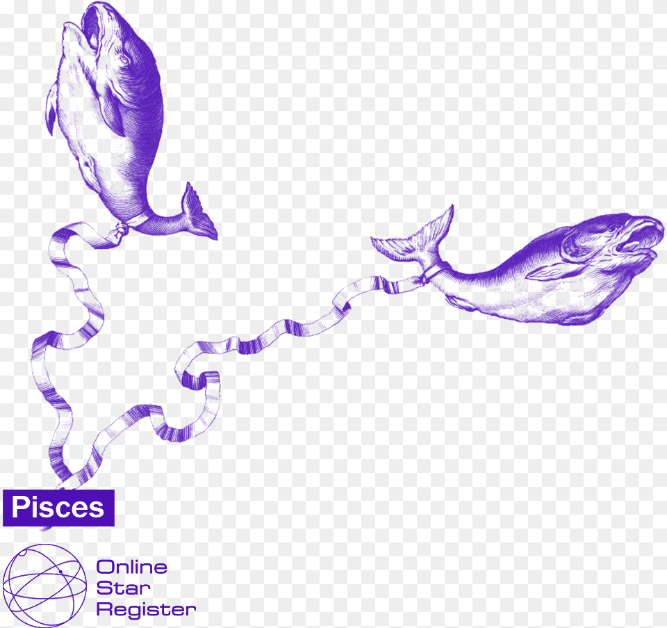 Illustration, Purple Png