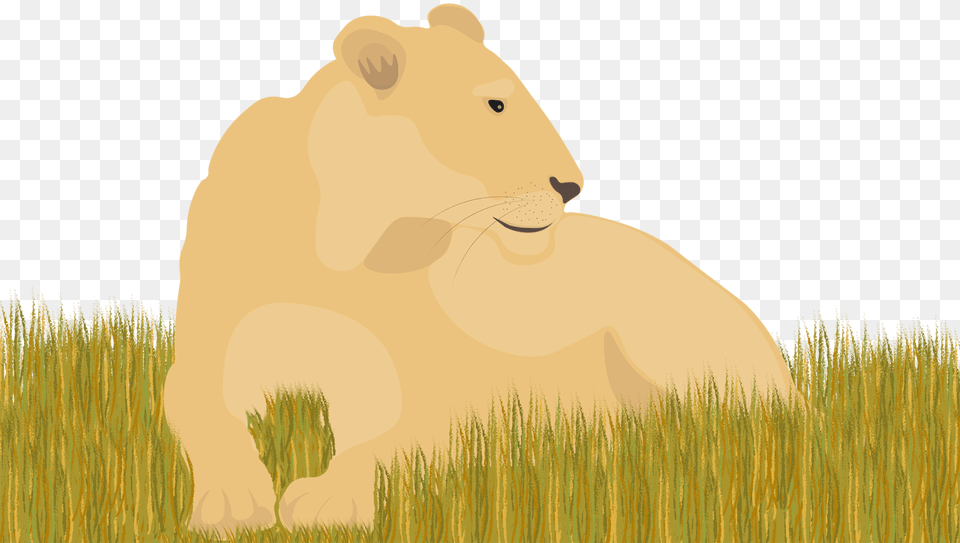 Illustration, Animal, Bear, Lion, Mammal Free Png