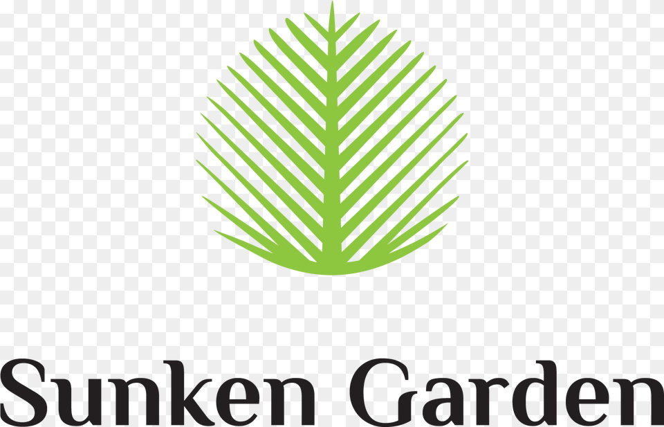 Illustration, Leaf, Plant, Tree, Logo Png